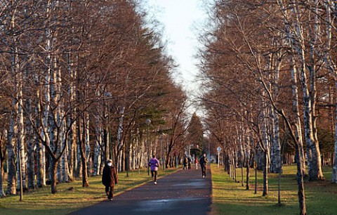 緑ヶ丘公園を散歩