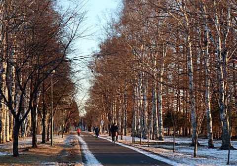 緑ヶ丘公園散歩