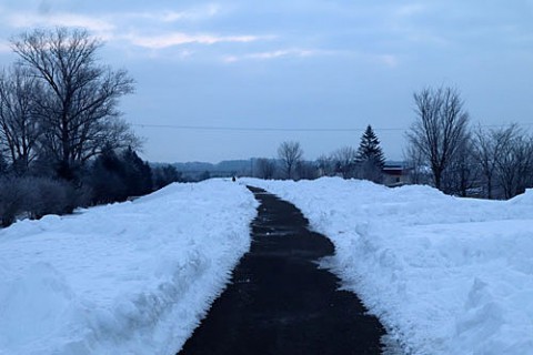 除雪された遊歩道