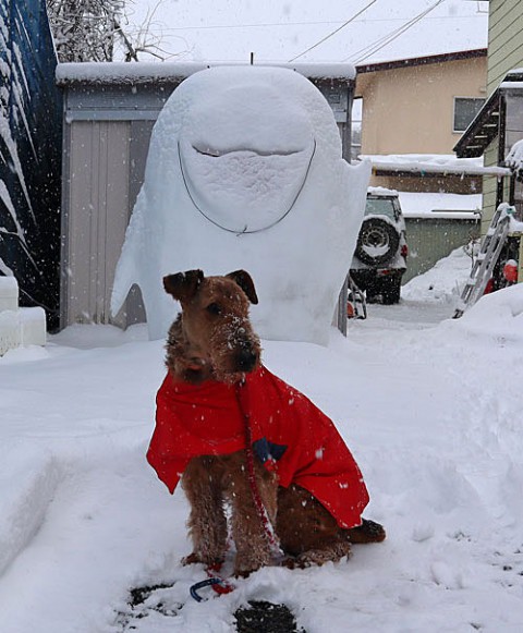 雪の朝に雪像前で