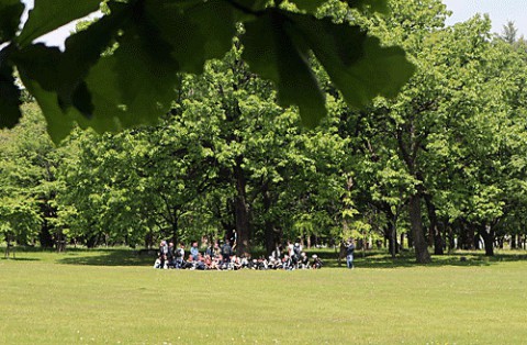 遠足日和のすずらん公園