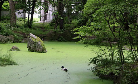 帯広神社