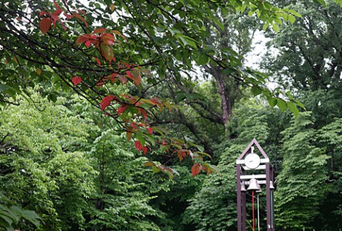 秋の気配の緑ヶ丘公園