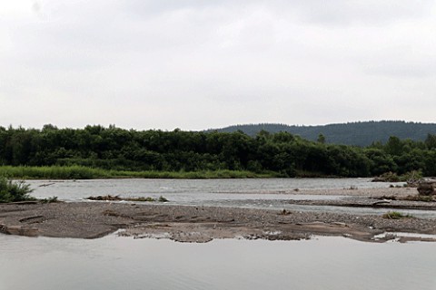 増水している十勝川