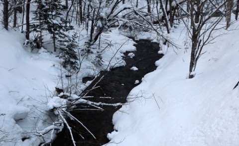 十勝三俣の雪景色