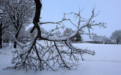 雪の朝は曇りのち晴れ