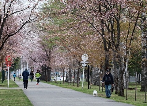 緑ヶ丘公園散歩