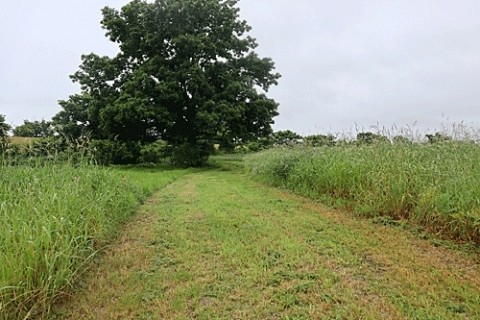 早朝の河川敷を歩く