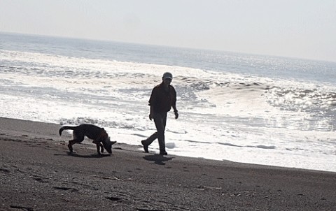 家族ドライブは湧洞の海