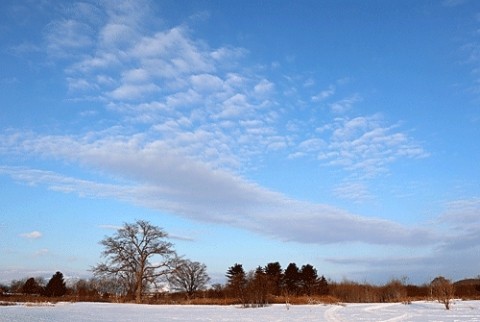 硬雪で何処でも歩けた河川敷