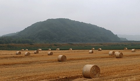 収穫終わって小麦ロール