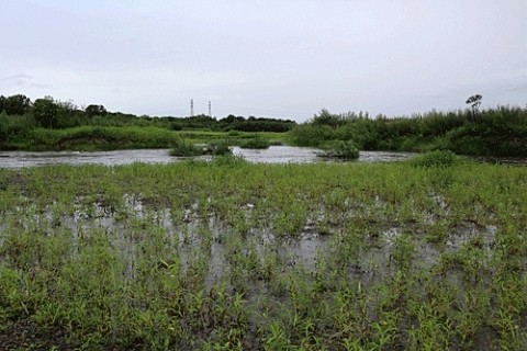 増水していた然別川