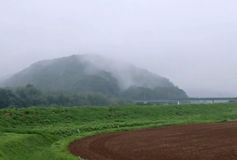 雨上がり国見山の雨霧