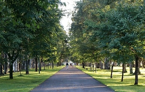 緑ヶ丘公園散歩