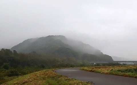 霧雨の朝の雨霧