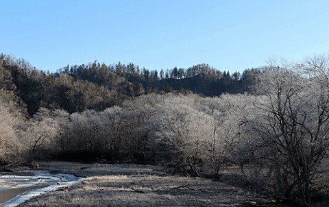 音別の霧氷風景