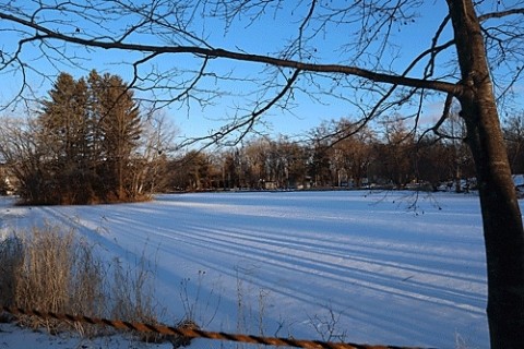 緑ヶ丘公園散歩