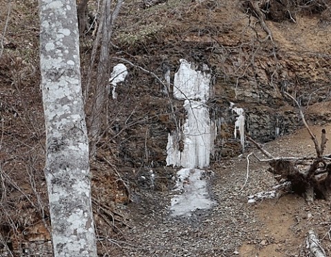 13日白糠の山で撮影