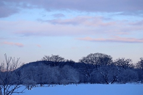 河川敷の霧氷風景