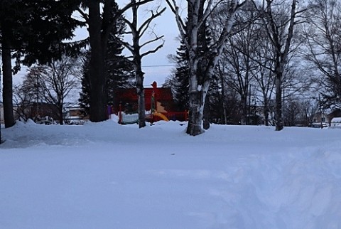 雪に埋もれた遊具