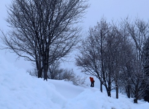 曇りの日の雪景色は最悪