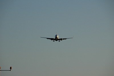 飛行機の運転手？さん♪