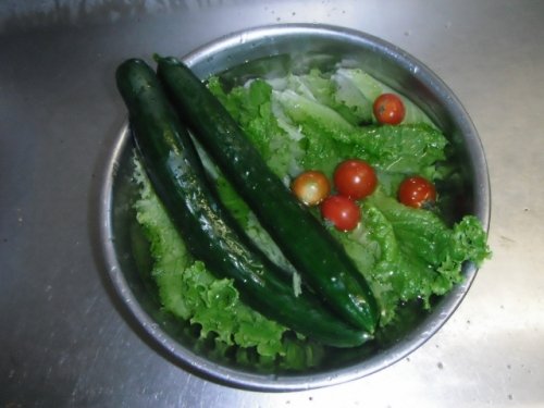 新鮮野菜で