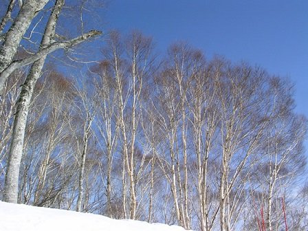 泣き笑いの1年を