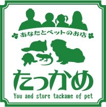 ６周年です♪