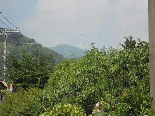 夏の家族旅行（箱根編）