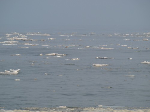 3月の海　（海からの贈り物）流氷！？大樹町