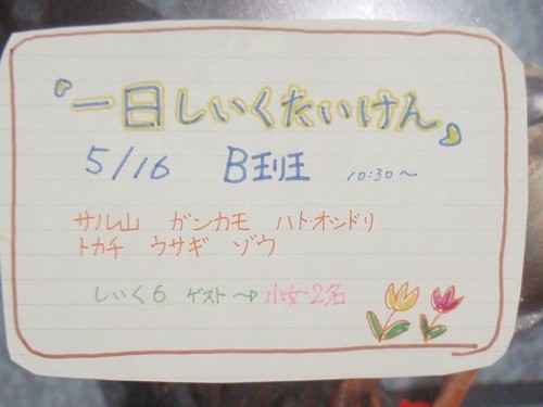 5月16日(土)は飼育体験の日　B斑