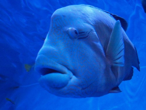 小樽水族館の風景