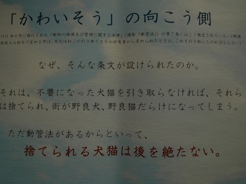 「かわいそう」の向こう側