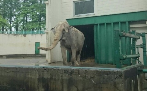 天気が良くないですね