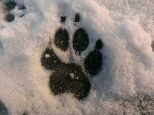 雪遊びのあと。