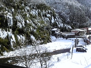 雪が降る・・・