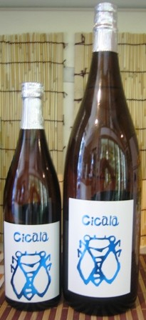 チカーラ　「Cicala」