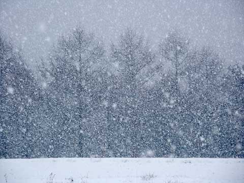 大雪でした・・・