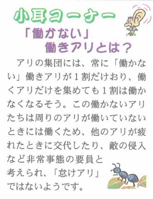 小耳コーナー　「働かない」働きアリとは？