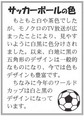 サッカーボールの色