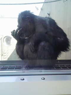 旭山動物園に行ってきました！