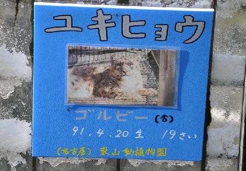 もうじゅう館　ユキヒョウ放飼場