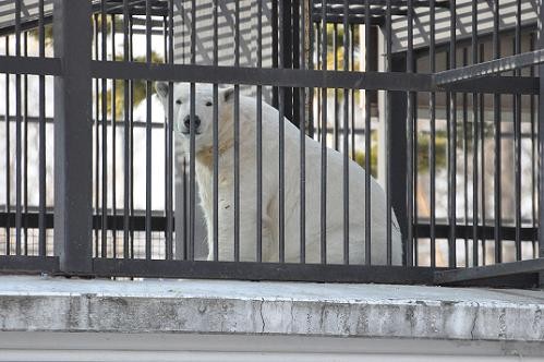 ２月２６日　閉園後のキロル