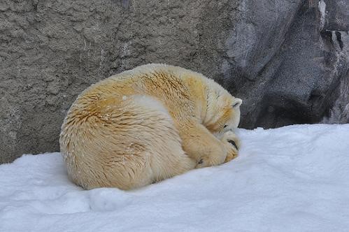 ３月５日　ルルちゃ～ん