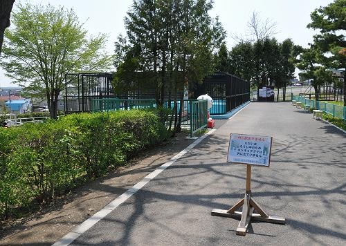 ５月２６日　おびひろ動物園　イコロのお食事タイム