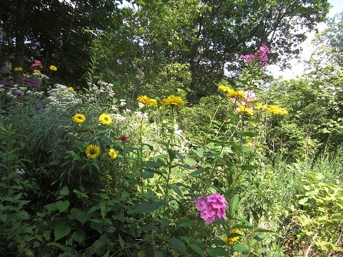 ８月２１日　滝上町　陽殖園