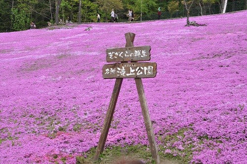 お知らせ！！　NHK北海道ローカル「北海道中ひざくりげ」再放送