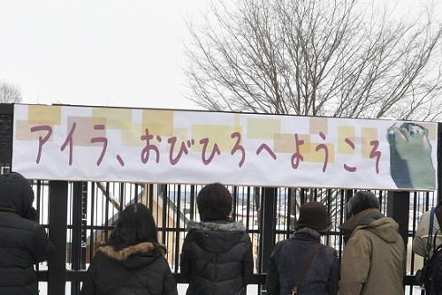 ２月２５日　おびひろ動物園　ホッキョクグマ　ちょっとだけ・・・