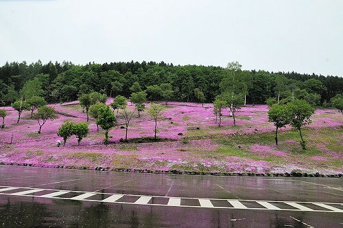 ６月６日　滝上町　今日の滝上公園